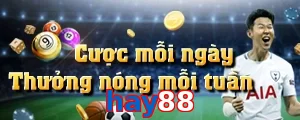 hay88